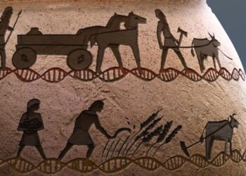 Ancient DNA Study Rewrites Human Migration