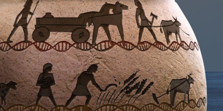 Ancient DNA Study Rewrites Human Migration