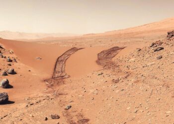 Mars Soil Study Reveals Shocking Discovery