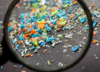 Microplastic Study Finds Unsettling Body Invasion
