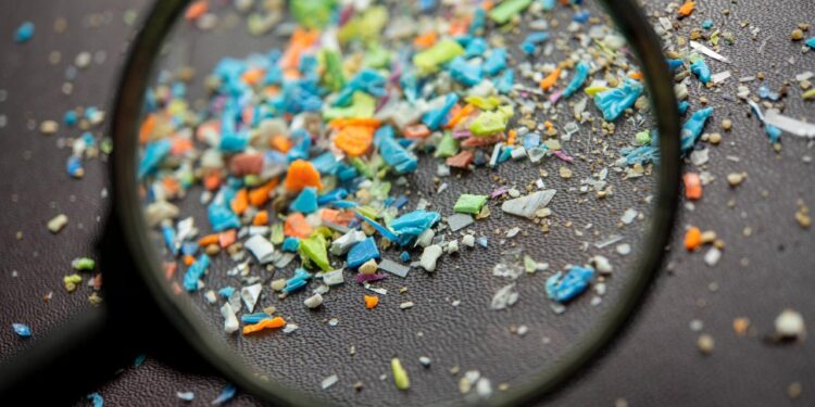Microplastic Study Finds Unsettling Body Invasion