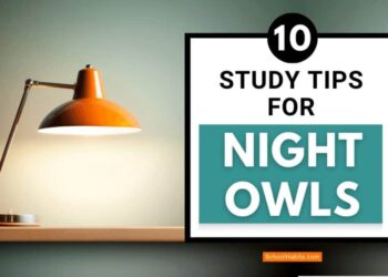 Night Owl Study Links to Higher Creativity
